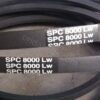 SPC BELT